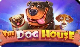 Spingranny Casino – The Dog House